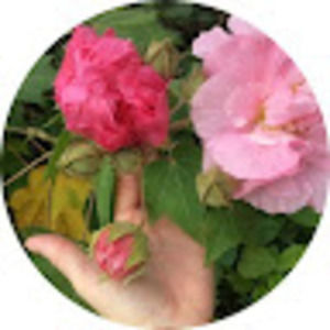 Meet your Posher, Patricia